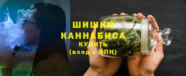стаф Карпинск