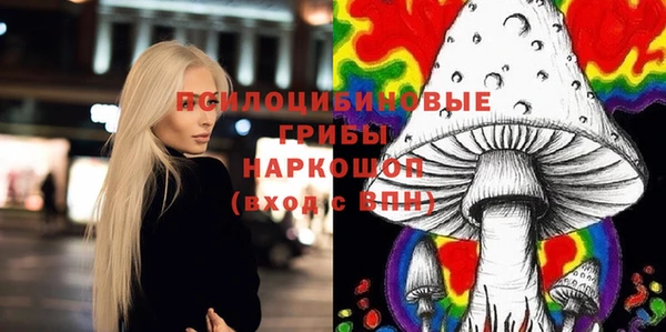стаф Карпинск