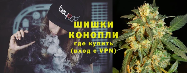 стаф Карпинск