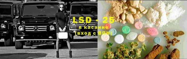 стаф Карпинск