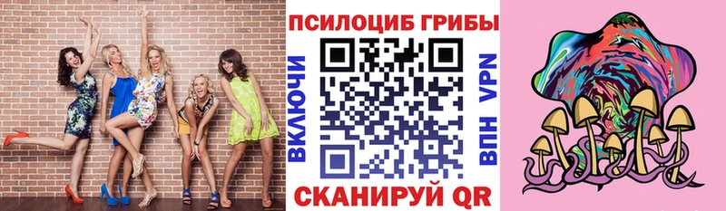 Купить  Калтан  Галлюциногенные грибы прущие грибы 